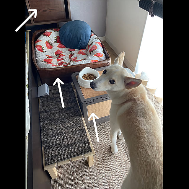 tanboさんの実例写真