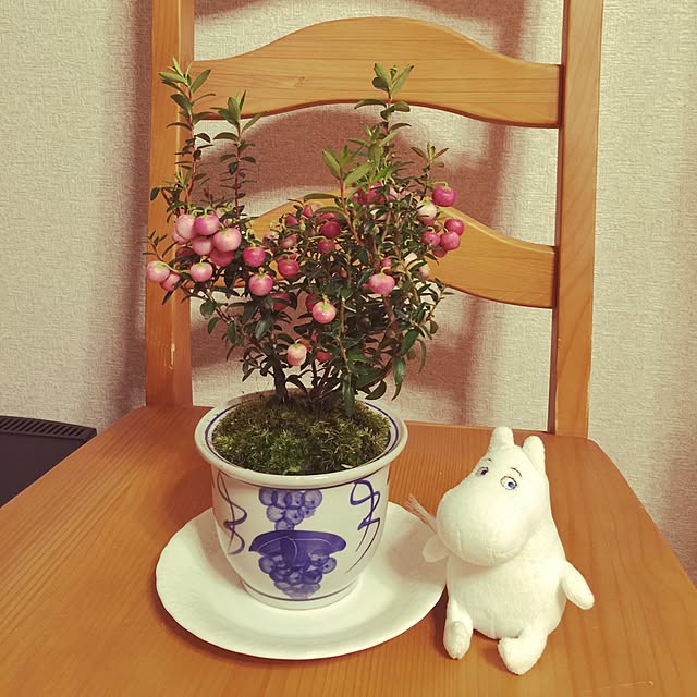 kittさんの実例写真