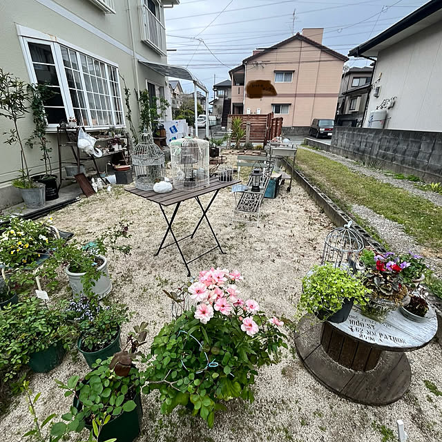 実例写真
