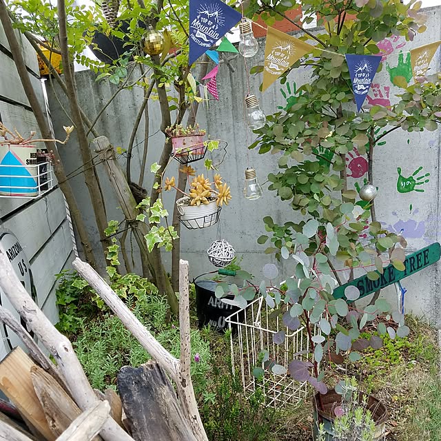 589littlegardenさんの実例写真