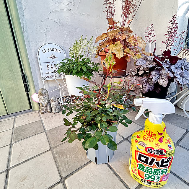 KNさんの部屋