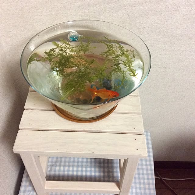 kod1108ahmakoさんの実例写真