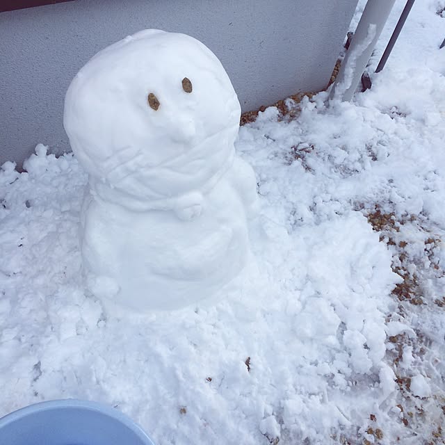 soaraさんの実例写真