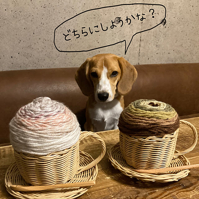 onokenkoさんの実例写真