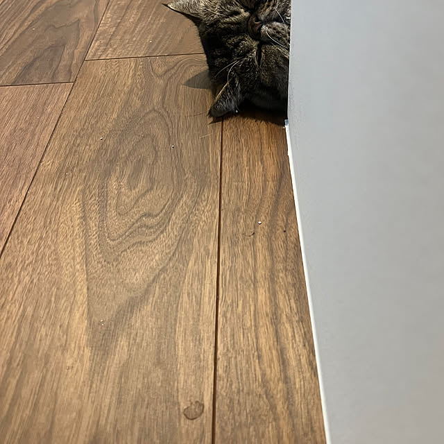 toytoyさんの実例写真