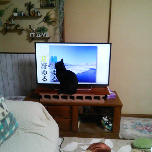 Tomopさんの実例写真