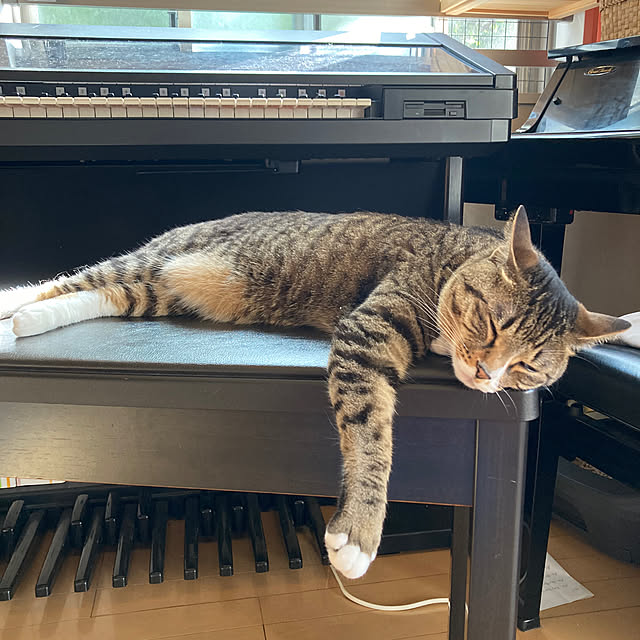 suemonta14さんの部屋