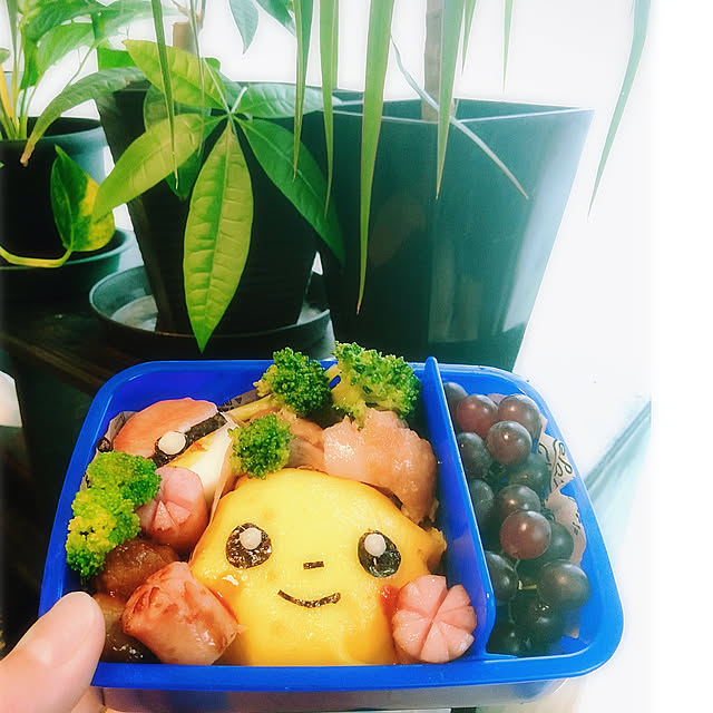 kodaminさんの実例写真