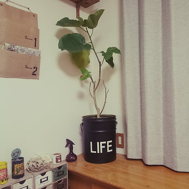 ma-koさんの実例写真