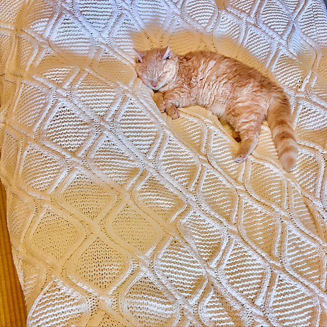 naokoさんの実例写真