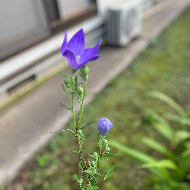 sakakenさんの部屋