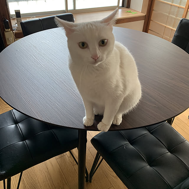 KUMIさんの実例写真