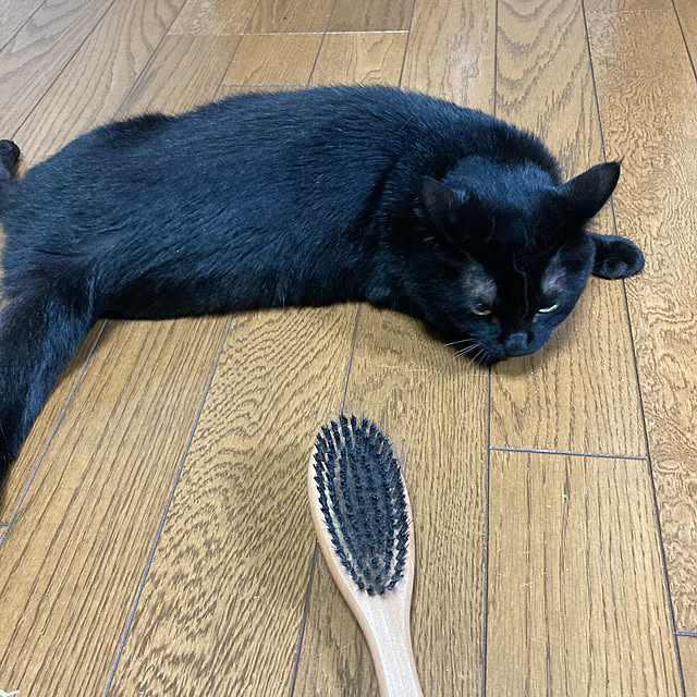 kirakirahoshiさんの実例写真