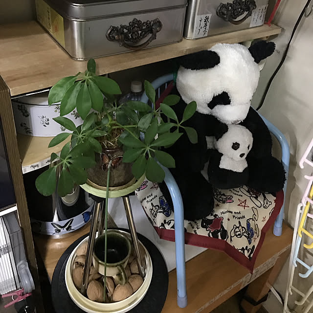 spdさんの実例写真