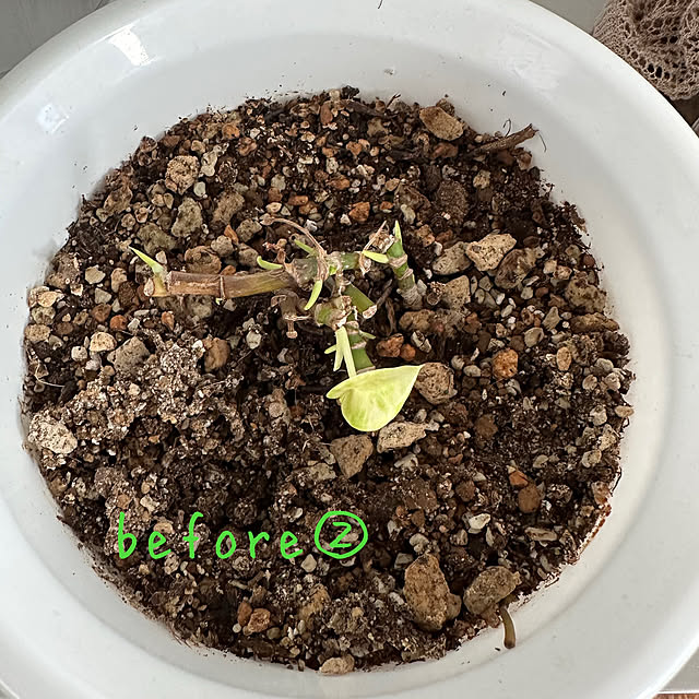 hanahana1444さんの部屋