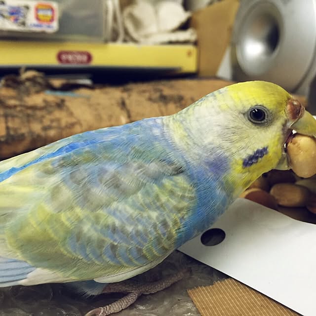 rinさんの実例写真