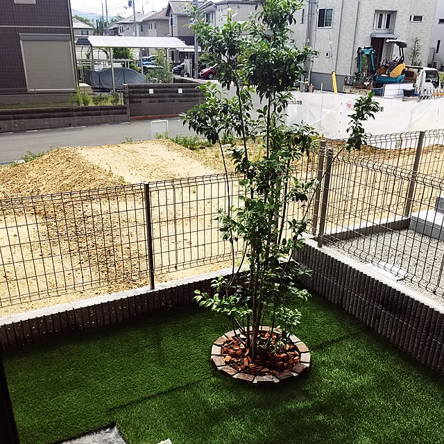 yuimamaさんの実例写真