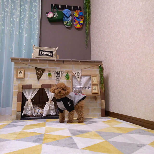 Samさんの実例写真