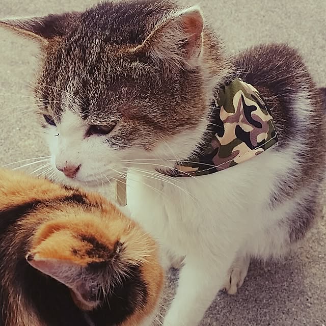 lemoned1126さんの実例写真