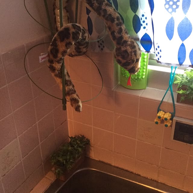 madmanさんの実例写真