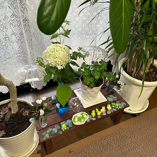 ritsukoさんの部屋