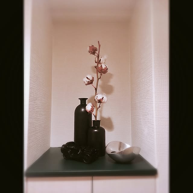Ryo-10さんの実例写真