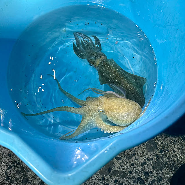 mitsukiさんの部屋