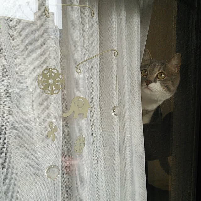 lovepandaさんの実例写真