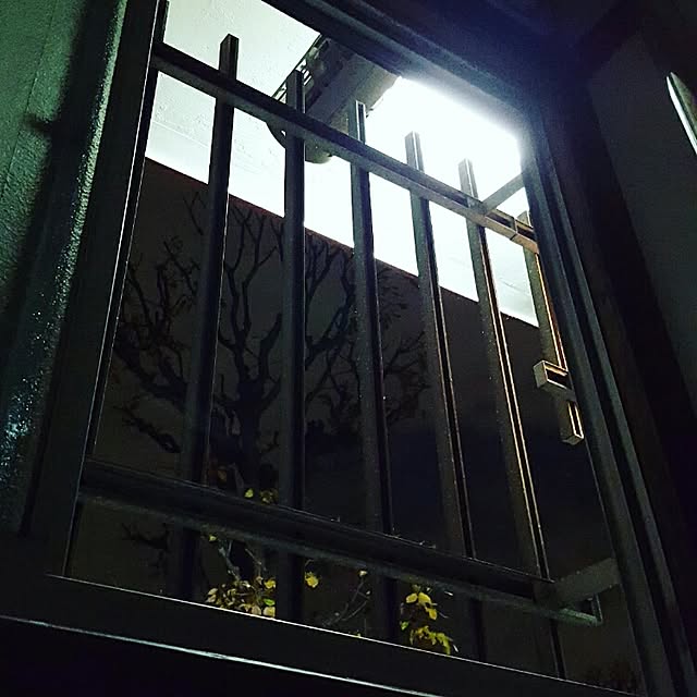 krlghdnさんの実例写真