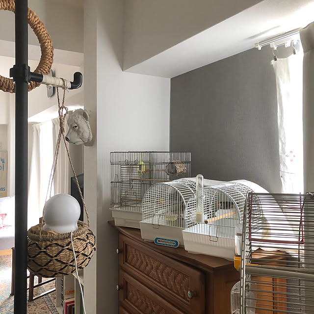 oiseauxさんの部屋