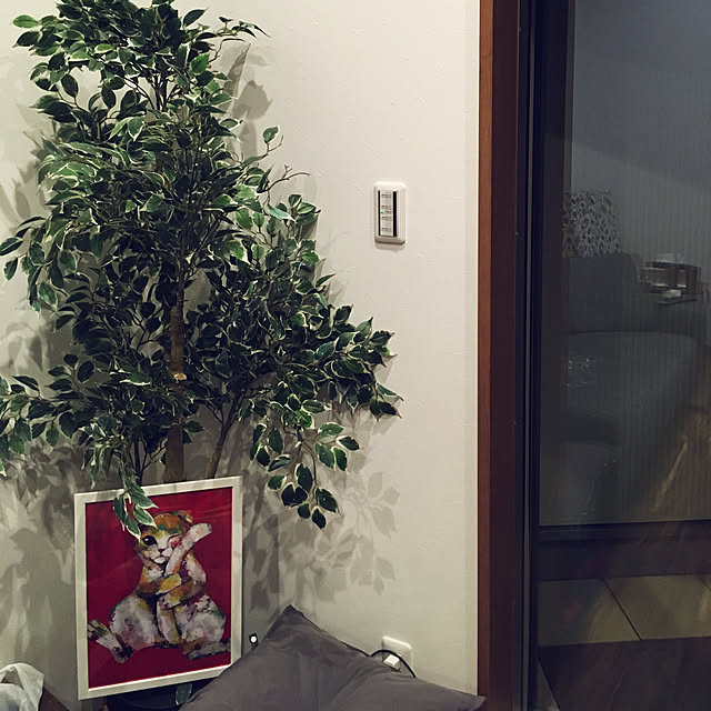shir0さんの実例写真