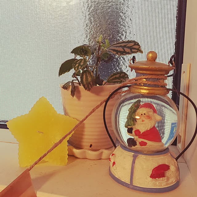 bluegreenさんの実例写真