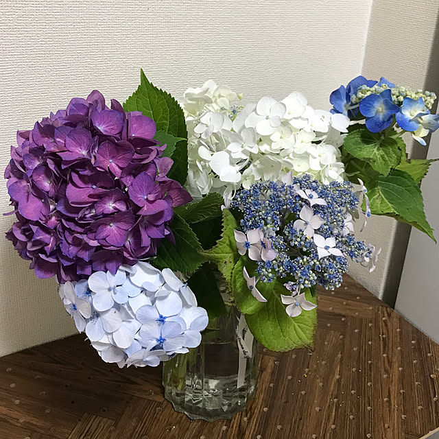 sakuramiffyさんの部屋