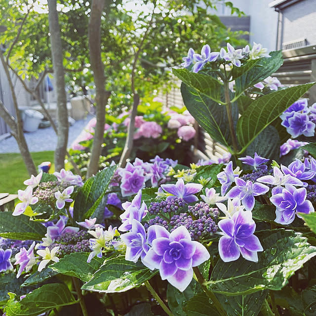 mv2850725172さんの実例写真