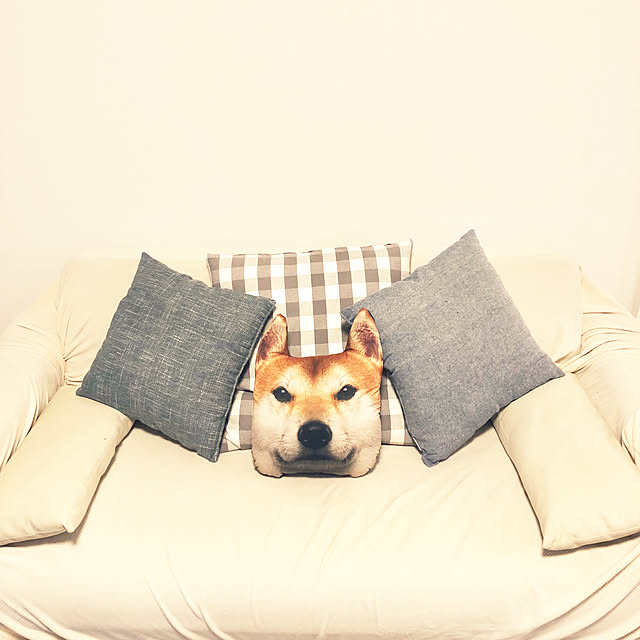 jolisukeさんの実例写真
