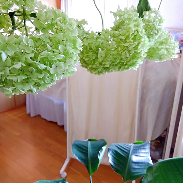 Motomeさんの実例写真