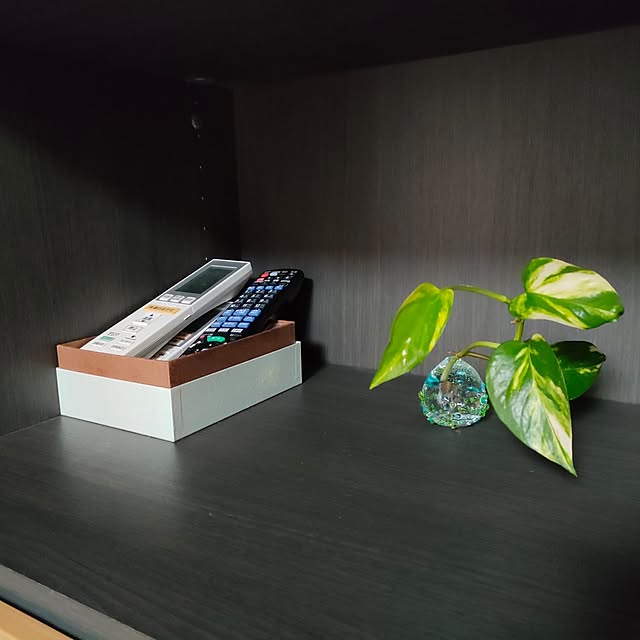 reguさんの部屋