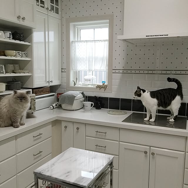 yuchiさんの実例写真