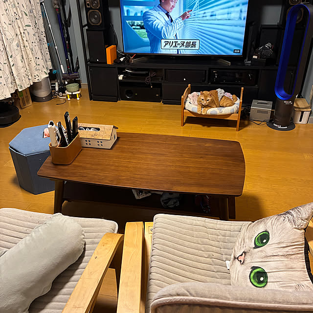 nekohagu2022さんの部屋
