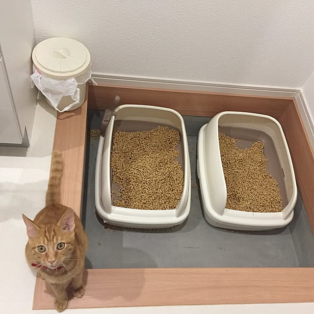 yufullfullさんの実例写真