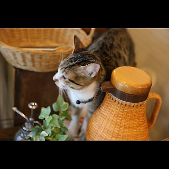 miestiloさんの実例写真