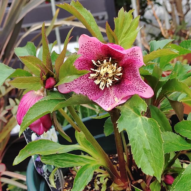 taeko0779さんの部屋