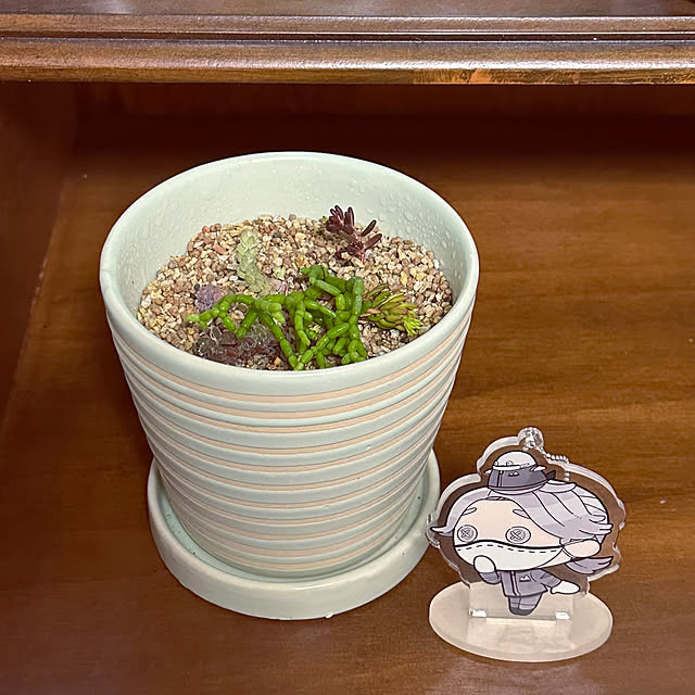 fujimachiさんの部屋