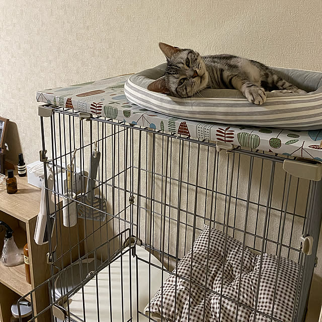 moco_mocoさんの実例写真