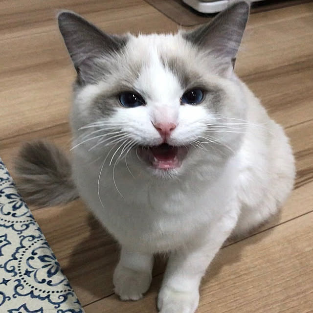 mizukiさんの実例写真