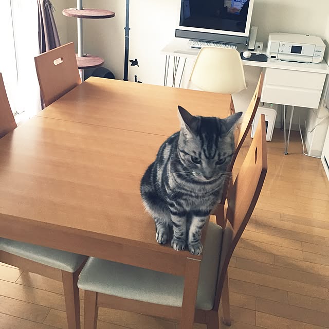 minaminaさんの実例写真