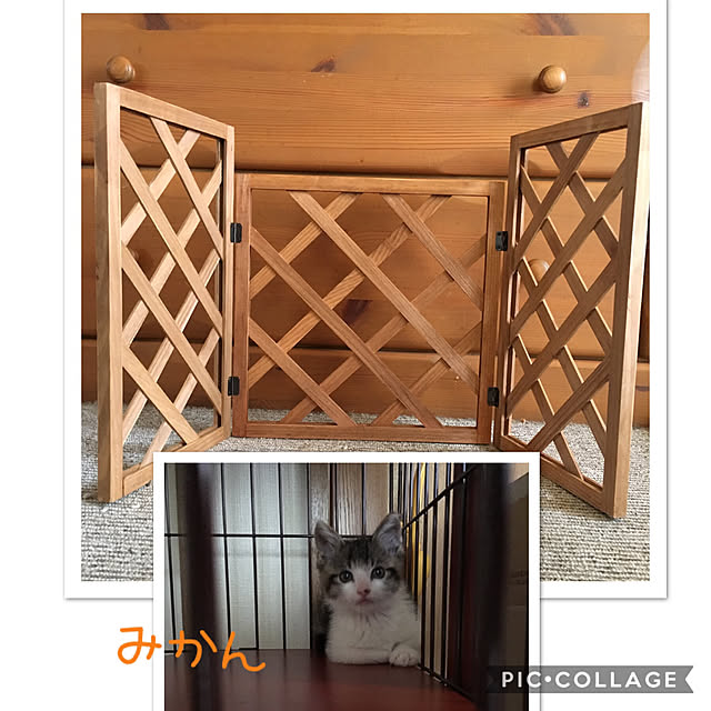 kimikimiさんの実例写真