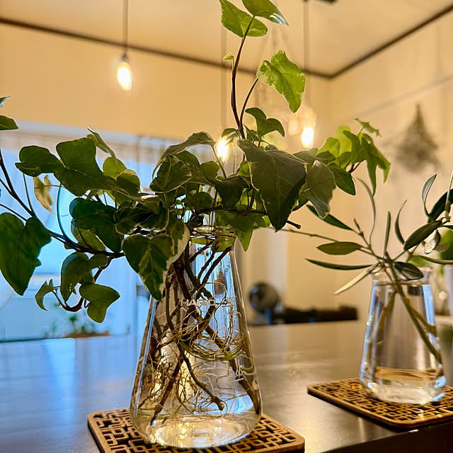 yasuyo66さんの部屋