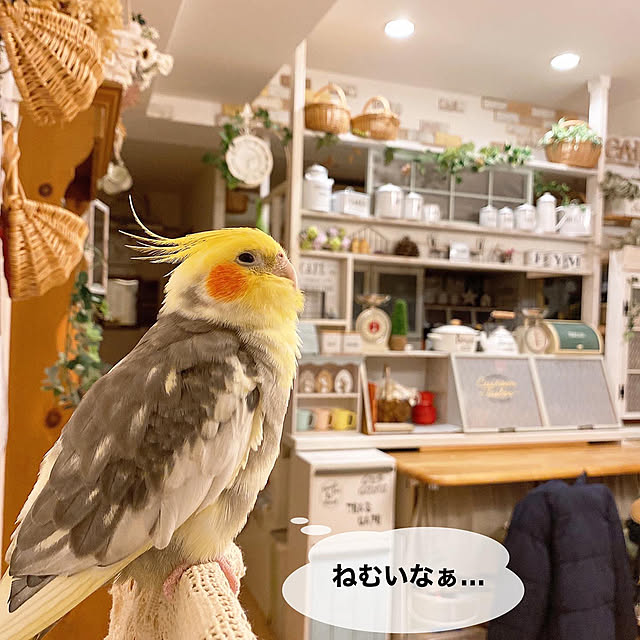 r_6cafeさんの実例写真