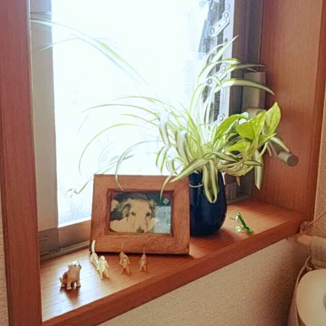 reonさんの実例写真